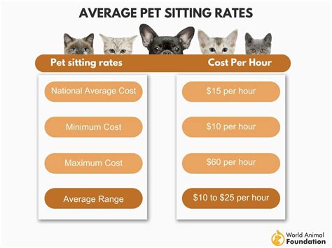 average cost for house sitting with pets|Pet sitting rates: How much should I charge as a pet。